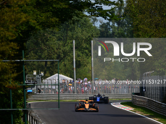 Oscar Piastri of the McLaren F1 Team drives his single-seater during qualifying for the Italian GP, the 16th round of the Formula 1 World Ch...