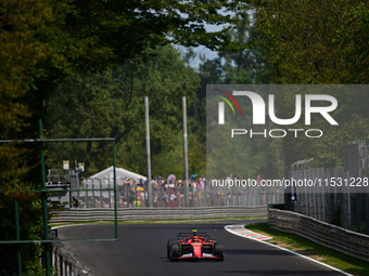 Carlos Sainz of Scuderia Ferrari drives his single-seater during qualifying of the Italian GP, the 16th round of the Formula 1 World Champio...