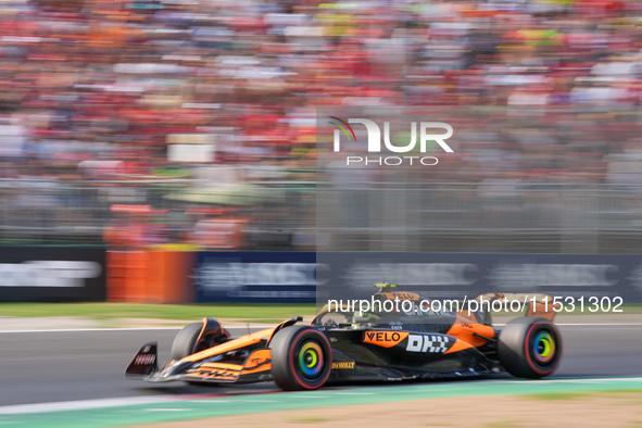 Lando Norris of the UK drives the (4) McLaren F1 Team MCL38 Mercedes during the Formula 1 Pirelli Gran Premio d'Italia 2024 in Monza, Italy,...