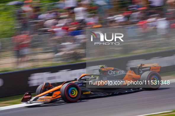 Lando Norris of the United Kingdom drives the (04) McLaren F1 Team MCL38 during FP3 of the Formula 1 Pirelli Gran Premio d'Italia 2024 in Mo...