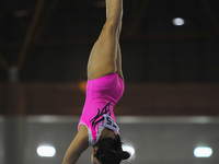 A gymnast from West Sumatra, Yulia Dian Retno, competes in the Women's Team Artistic Gymnastics Parallel Bars event of the XXI/2024 National...