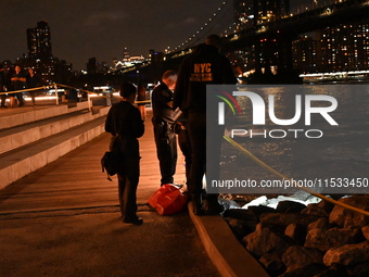 Bone fragments are recovered along the shoreline in Brooklyn Bridge Park in Brooklyn, New York, United States, on August 31, 2024. At approx...