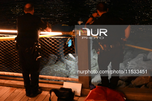 Bone fragments are recovered along the shoreline in Brooklyn Bridge Park in Brooklyn, New York, United States, on August 31, 2024. At approx...