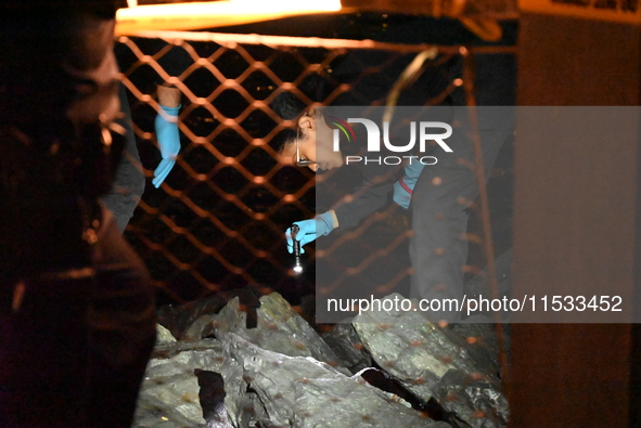 Bone fragments are recovered along the shoreline in Brooklyn Bridge Park in Brooklyn, New York, United States, on August 31, 2024. At approx...