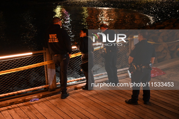 Bone fragments are recovered along the shoreline in Brooklyn Bridge Park in Brooklyn, New York, United States, on August 31, 2024. At approx...