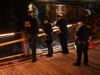 Bone fragments are recovered along the shoreline in Brooklyn Bridge Park in Brooklyn, New York, United States, on August 31, 2024. At approx...