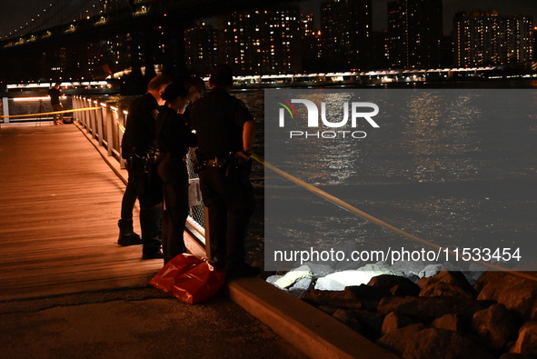 Bone fragments are recovered along the shoreline in Brooklyn Bridge Park in Brooklyn, New York, United States, on August 31, 2024. At approx...