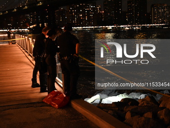 Bone fragments are recovered along the shoreline in Brooklyn Bridge Park in Brooklyn, New York, United States, on August 31, 2024. At approx...