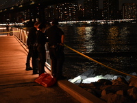 Bone fragments are recovered along the shoreline in Brooklyn Bridge Park in Brooklyn, New York, United States, on August 31, 2024. At approx...