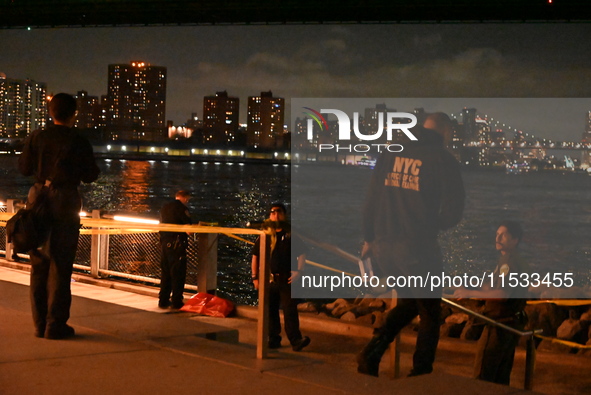 Bone fragments are recovered along the shoreline in Brooklyn Bridge Park in Brooklyn, New York, United States, on August 31, 2024. At approx...