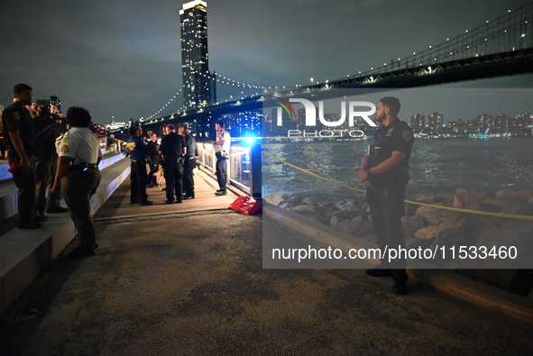 Bone fragments are recovered along the shoreline in Brooklyn Bridge Park in Brooklyn, New York, United States, on August 31, 2024. At approx...