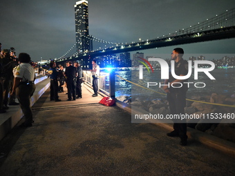 Bone fragments are recovered along the shoreline in Brooklyn Bridge Park in Brooklyn, New York, United States, on August 31, 2024. At approx...