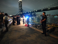 Bone fragments are recovered along the shoreline in Brooklyn Bridge Park in Brooklyn, New York, United States, on August 31, 2024. At approx...