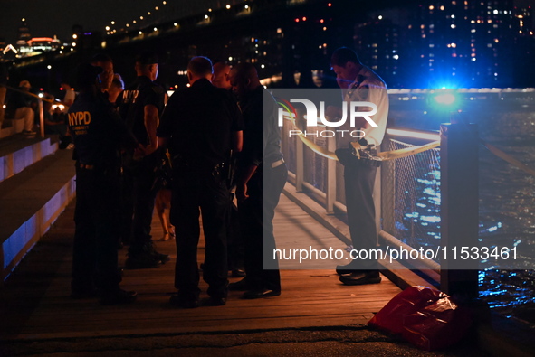 Bone fragments are recovered along the shoreline in Brooklyn Bridge Park in Brooklyn, New York, United States, on August 31, 2024. At approx...