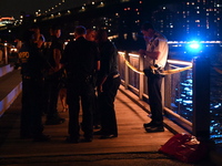 Bone fragments are recovered along the shoreline in Brooklyn Bridge Park in Brooklyn, New York, United States, on August 31, 2024. At approx...