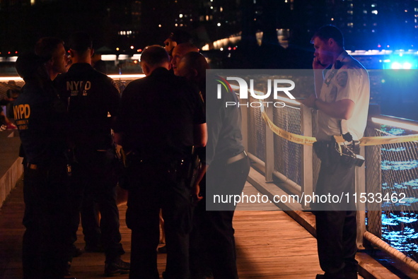 Bone fragments are recovered along the shoreline in Brooklyn Bridge Park in Brooklyn, New York, United States, on August 31, 2024. At approx...