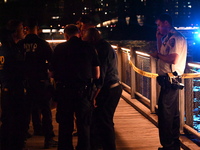 Bone fragments are recovered along the shoreline in Brooklyn Bridge Park in Brooklyn, New York, United States, on August 31, 2024. At approx...