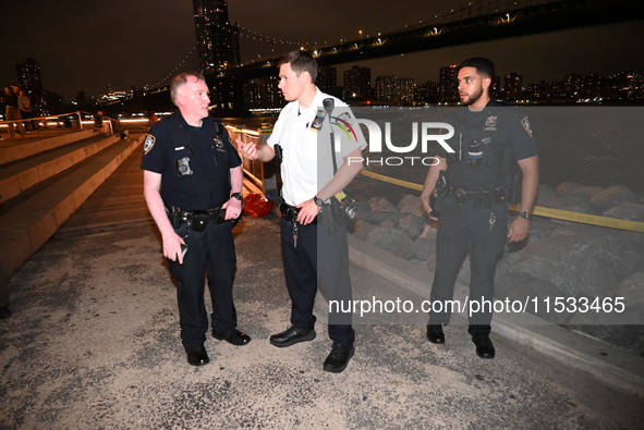 Bone fragments are recovered along the shoreline in Brooklyn Bridge Park in Brooklyn, New York, United States, on August 31, 2024. At approx...