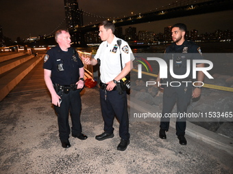 Bone fragments are recovered along the shoreline in Brooklyn Bridge Park in Brooklyn, New York, United States, on August 31, 2024. At approx...