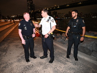 Bone fragments are recovered along the shoreline in Brooklyn Bridge Park in Brooklyn, New York, United States, on August 31, 2024. At approx...