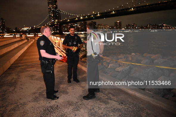 Bone fragments are recovered along the shoreline in Brooklyn Bridge Park in Brooklyn, New York, United States, on August 31, 2024. At approx...