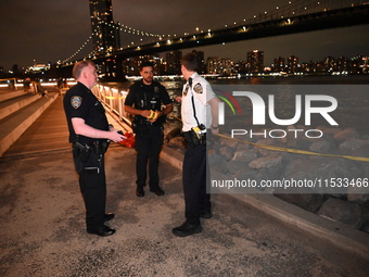 Bone fragments are recovered along the shoreline in Brooklyn Bridge Park in Brooklyn, New York, United States, on August 31, 2024. At approx...