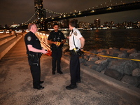 Bone fragments are recovered along the shoreline in Brooklyn Bridge Park in Brooklyn, New York, United States, on August 31, 2024. At approx...