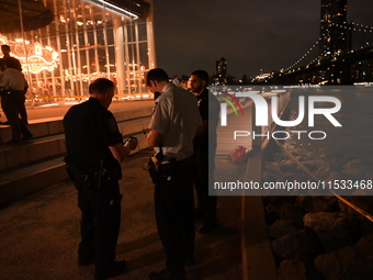 Bone fragments are recovered along the shoreline in Brooklyn Bridge Park in Brooklyn, New York, United States, on August 31, 2024. At approx...