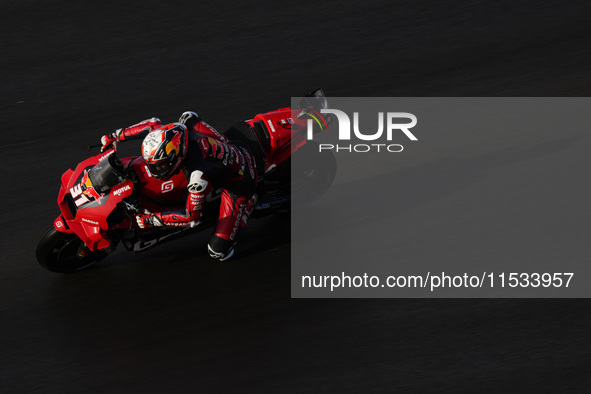 Pedro Acosta (31) of Spain and Red Bull Gasgas Tech3 during the race day of the Gran Premio GoPro de Aragon at Motorland Aragon Circuit on S...