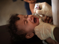 A Palestinian child receives a polio vaccination at a United Nations healthcare center in Deir Al-Balah in the central Gaza Strip, on Septem...