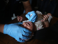 A Palestinian child receives a polio vaccination at a United Nations healthcare center in Deir Al-Balah in the central Gaza Strip, on Septem...