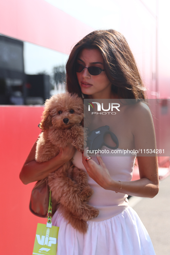 Kika Cerqueira Gomes with dog Simba before the Formula 1 Italian Grand Prix at Autodromo Nazionale di Monza in Monza, Italy on September 1,...