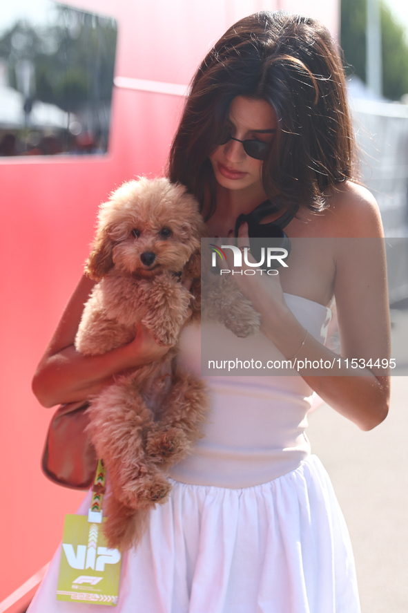 Kika Cerqueira Gomes with dog Simba before the Formula 1 Italian Grand Prix at Autodromo Nazionale di Monza in Monza, Italy on September 1,...