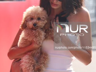 Kika Cerqueira Gomes with dog Simba before the Formula 1 Italian Grand Prix at Autodromo Nazionale di Monza in Monza, Italy on September 1,...