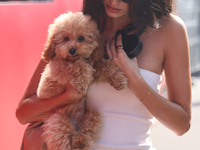 Kika Cerqueira Gomes with dog Simba before the Formula 1 Italian Grand Prix at Autodromo Nazionale di Monza in Monza, Italy on September 1,...