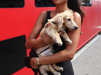 Alexandra Saint Mleux with dog Leo before the Formula 1 Italian Grand Prix at Autodromo Nazionale di Monza in Monza, Italy on September 1, 2...