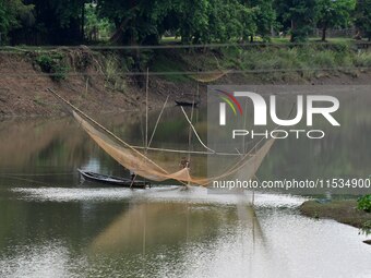 A man lifts a fishing net to catch fish on a river in Morigaon district of Assam, India, on September 1, 2024. (