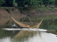 A man lifts a fishing net to catch fish on a river in Morigaon district of Assam, India, on September 1, 2024. (