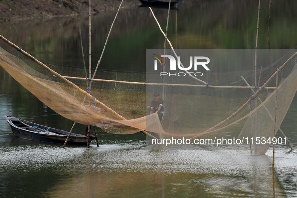 A man lifts a fishing net to catch fish on a river in Morigaon district of Assam, India, on September 1, 2024. 