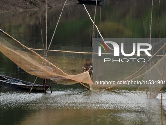 A man lifts a fishing net to catch fish on a river in Morigaon district of Assam, India, on September 1, 2024. (