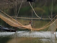 A man lifts a fishing net to catch fish on a river in Morigaon district of Assam, India, on September 1, 2024. (