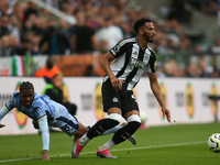 Newcastle United's Lloyd Kelly turns against Tottenham Hotspur's Wilson Odobert during the Premier League match between Newcastle United and...