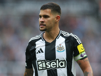 Newcastle United's Bruno Guimaraes during the Premier League match between Newcastle United and Tottenham Hotspur at St. James's Park in New...