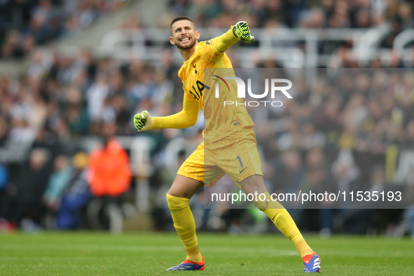 Tottenham Hotspur goalkeeper Guglielmo Vicario celebrates Tottenham Hotspur's equalizer during the Premier League match between Newcastle Un...