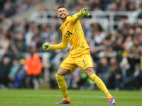 Tottenham Hotspur goalkeeper Guglielmo Vicario celebrates Tottenham Hotspur's equalizer during the Premier League match between Newcastle Un...