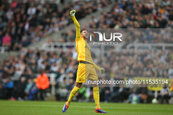 Tottenham Hotspur goalkeeper Guglielmo Vicario celebrates Tottenham Hotspur's equalizer during the Premier League match between Newcastle Un...