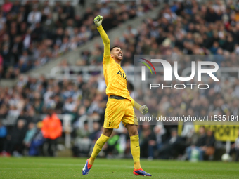 Tottenham Hotspur goalkeeper Guglielmo Vicario celebrates Tottenham Hotspur's equalizer during the Premier League match between Newcastle Un...