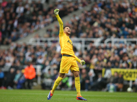 Tottenham Hotspur goalkeeper Guglielmo Vicario celebrates Tottenham Hotspur's equalizer during the Premier League match between Newcastle Un...