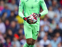 Lawrence Vigouroux, goalkeeper of Swansea City, during the Sky Bet Championship match between West Bromwich Albion and Swansea City at The H...