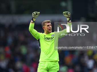 Alex Palmer, goalkeeper of West Bromwich, celebrates at the end of the Sky Bet Championship match between West Bromwich Albion and Swansea C...